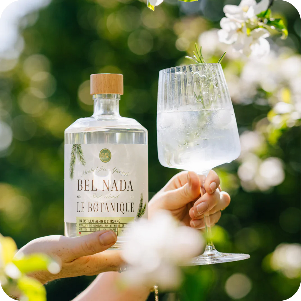 Bel Nada - GIN FIZZ BUNDLE - Refreshing Cocktails for Every Occasion 🍸✨