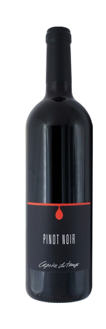 Cave Caprice du Temps - PINOT NOIR - Unleash the Flavor! 🍷🌟