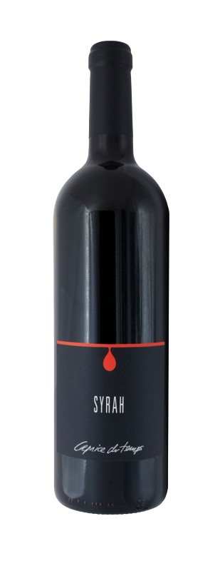 Cave Caprice du Temps - SYRAH - Erleben Sie Eleganz in jedem Schluck 🍷✨