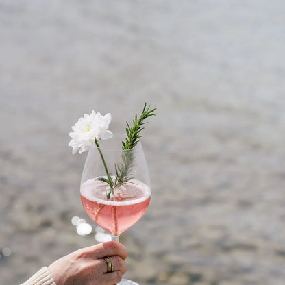 Bel Nada - THE APERITIF - Elevate Your Entertaining 🍹✨
