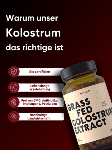 Getrocknetes Weiderind Kolostrum Extrakt in Kapseln