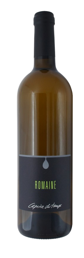 Cave Caprice du Temps - ROSÉ - Parfaitement frais et fruité pour vous 🍇🌸