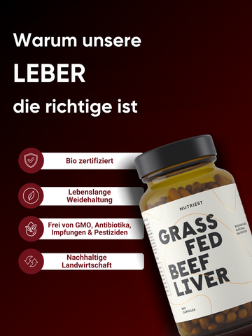 Rinderleber Kapseln in Premium Qualität