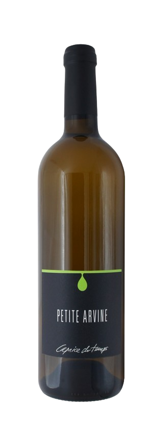 Cave Caprice du Temps - PAGAN - Entfessle deine innere Magie! 🌌🔮