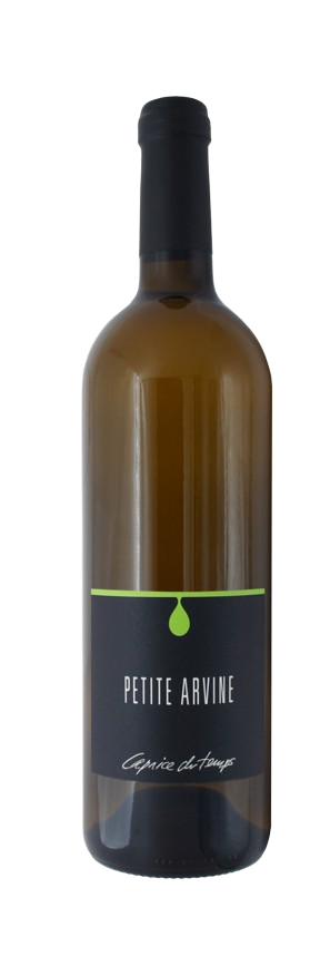 Cave Caprice du Temps - PETITE ARVINE - Offrez-vous le Luxe ! 🍇🌟