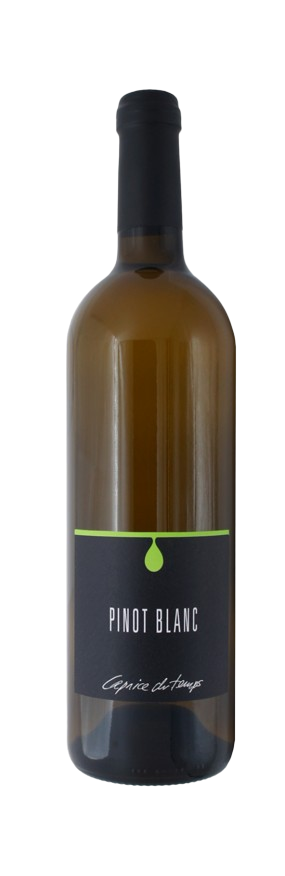 Cave Caprice du Temps - PINOT BLANC - Un délice frais et croquant 🍇✨