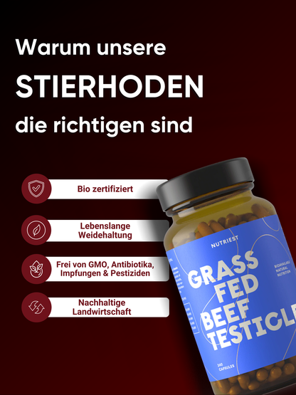 Getrocknete Bio Weiderind Hoden (Stierhoden) in praktischer Kapsel