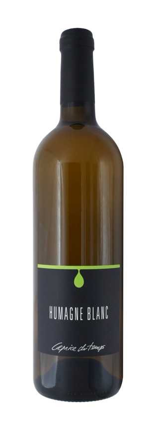 Cave Caprice du Temps - HUMAGNE BLANC - Dévoilez l'élégance à chaque gorgée 🍇🥂