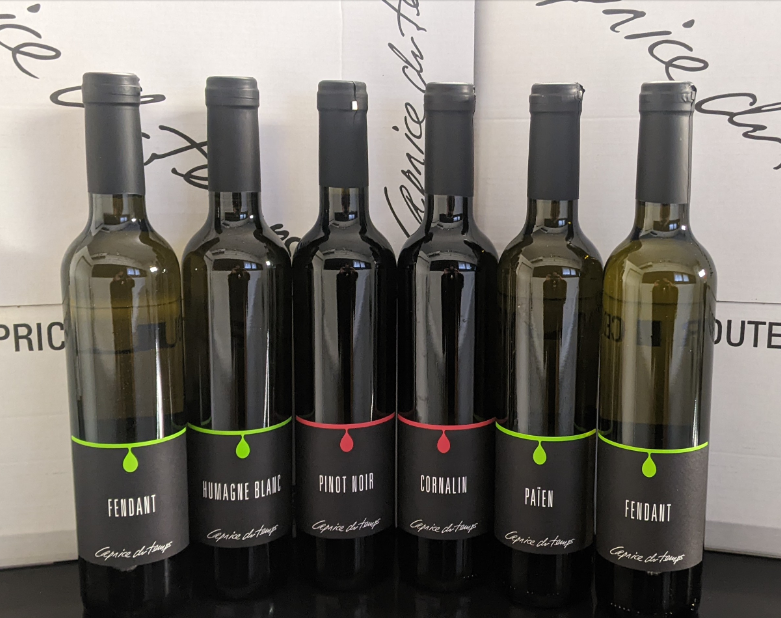 Cave Caprice du Temps - BOÎTE FACE-À-FACE - Libérez votre esprit de compétition ! 🎯🏆