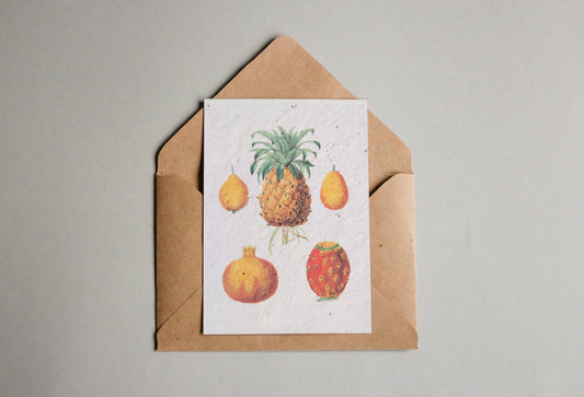 Postkarten aus Samenpapier Enzyklopädie Küche