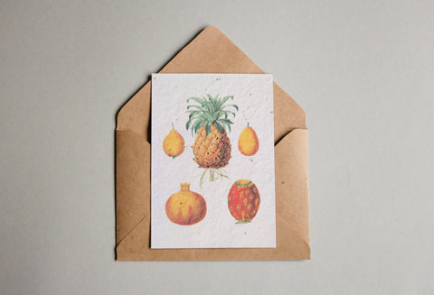 Postkarten aus Samenpapier Enzyklopädie Küche