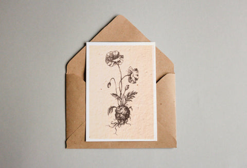 Postkarten aus Samenpapier - Andrea Noti