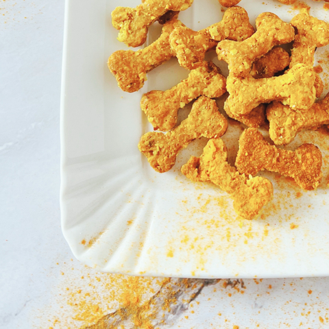 Anti-Inflammatory Turmeric Dog Treats