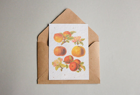 Postkarten aus Samenpapier Enzyklopädie Küche