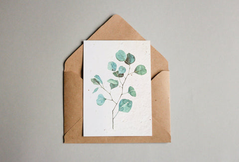 Postkarten aus Samenpapier - Eukalyptus
