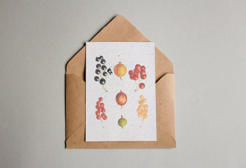 Postkarten aus Samenpapier Enzyklopädie Küche