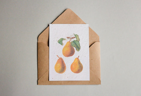 Postkarten aus Samenpapier Enzyklopädie Küche