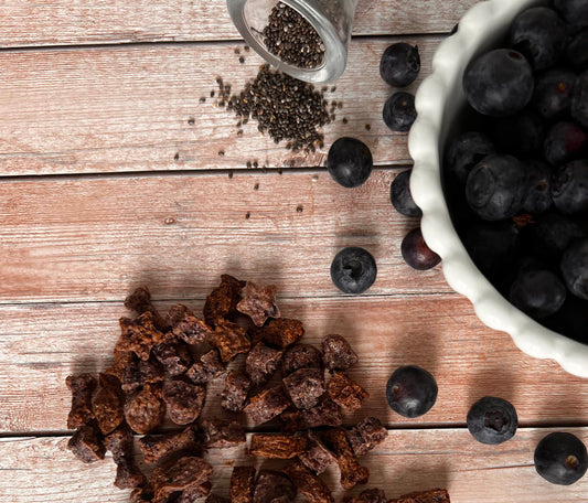 Blueberry & Chia Dog Food Topper | Immune Support for Dogs