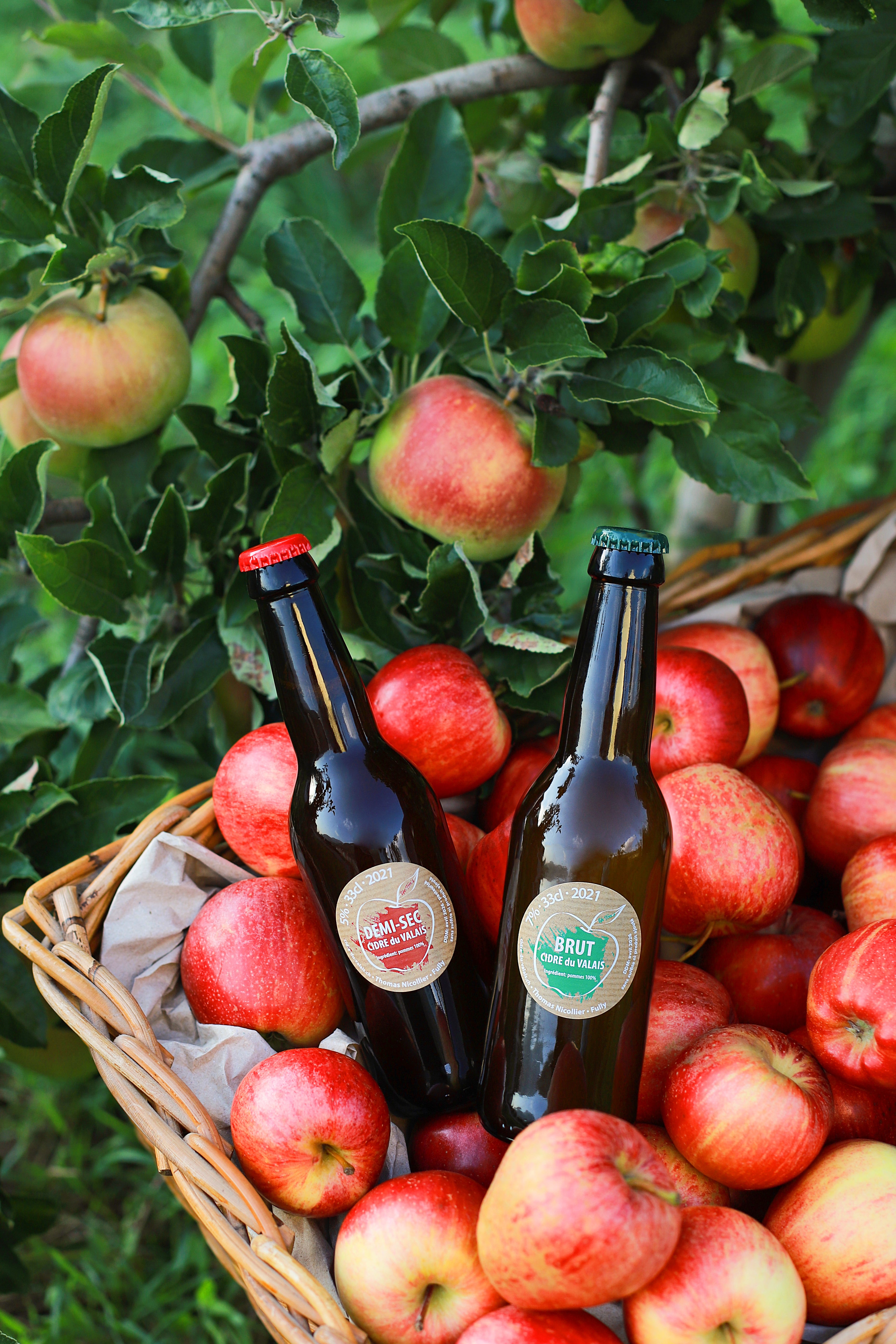 Cidrerie du Valais – Demi-Sec Craft Cider 33cl | 100% Natural, Sulfite-Free