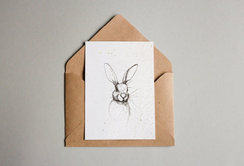 Postkarten aus Samenpapier - Hase, Huhn und Ei