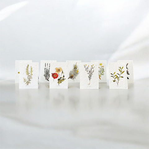 Postkarten aus Samenpapier Enzyklopädie-Set