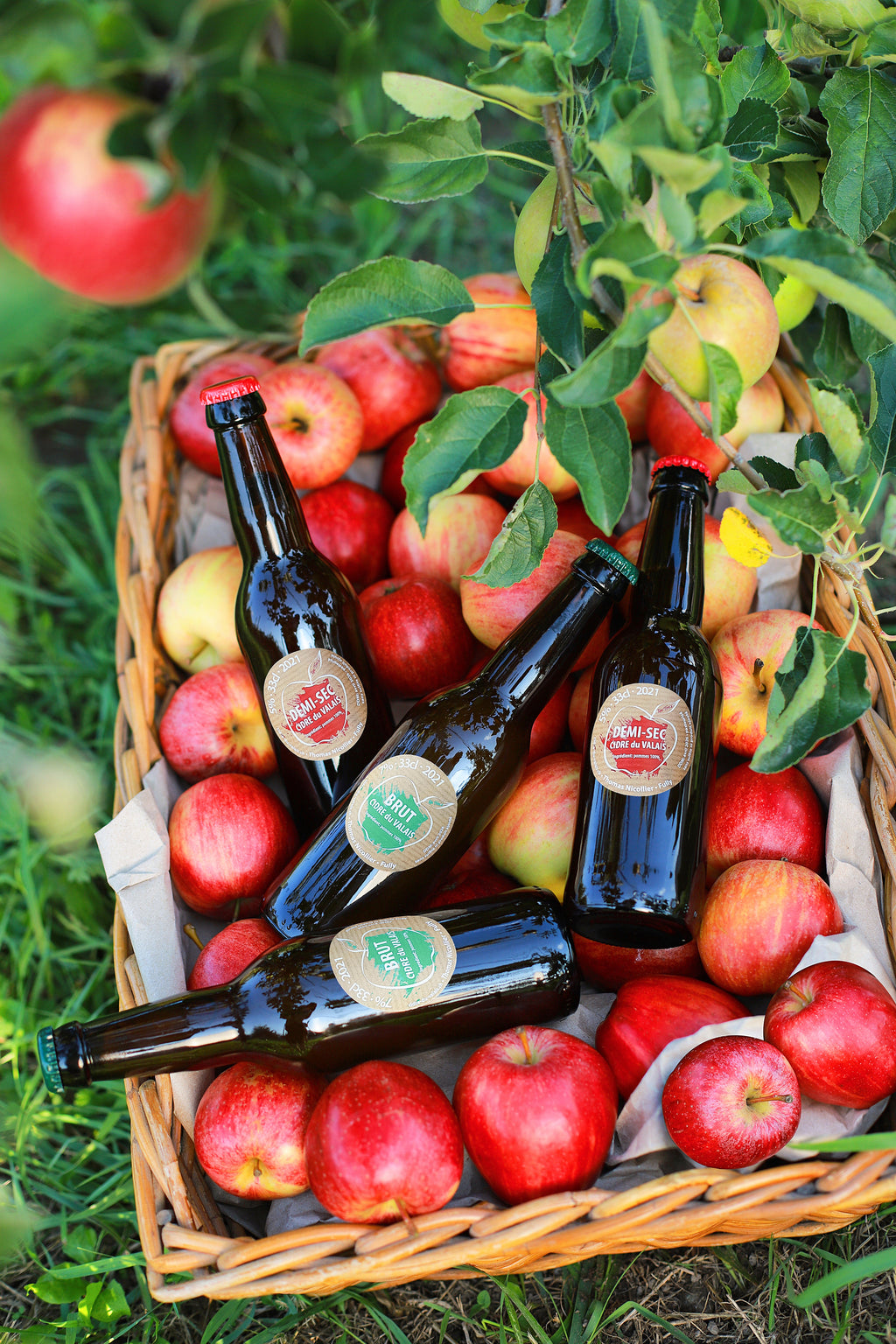 Valais Cidery – Artisan Brut Cider 33cl | 100% Natural, Sulfite-Free