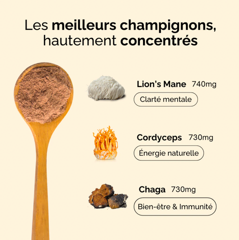 Bonjour Drink - Saveur Originale