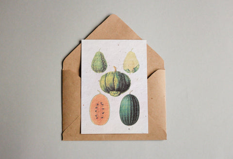 Postkarten aus Samenpapier Enzyklopädie Küche