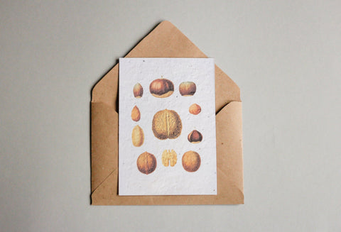 Postkarten aus Samenpapier Enzyklopädie Küche