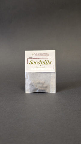 Seedpills - Gartenvögel