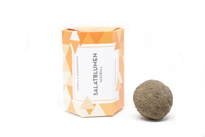 Salatblumen Seedball einzeln