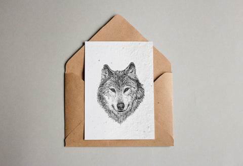 Kartenset aus Samenpapier - Waldtiere