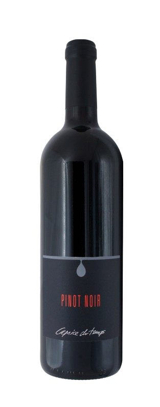 Cave Caprice du Temps - PINOT NOIR (Élevé en fût de chêne) - Découvrez une élégance raffinée ! 🍇🍷