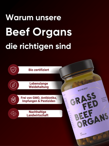 Getrocknete Beef Organs Kapseln – Bio Innereien vom Rind: Leber, Niere & Herz