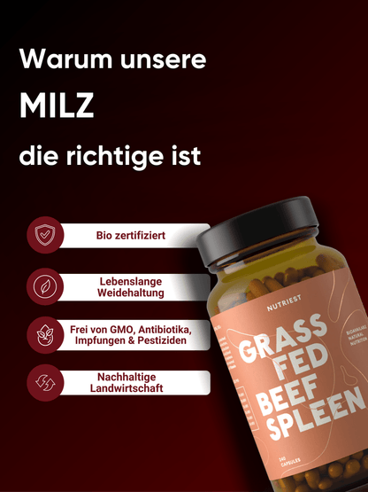 Rindermilz Kapseln – Getrocknete Bio Weiderind Milz