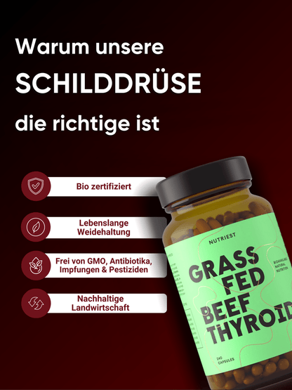Getrocknete Bio Rinder-Schilddrüse in Kapseln – Schilddrüsenextrakt (NDT)