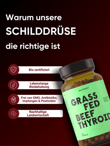 Getrocknete Bio Rinder-Schilddrüse in Kapseln – Schilddrüsenextrakt (NDT)