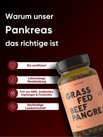 Getrocknetes Bio Rinderpankreas Kapseln – mit Leber & grasgefüttert