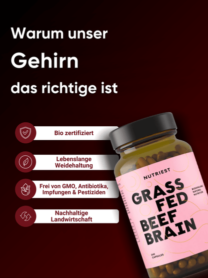 Getrocknetes Rinderhirn Kapseln – Weiderind-Gehirn mit Bio-Leber