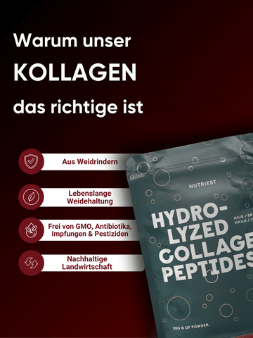 Kollagen Hydrolysat Pulver aus Bio-Weiderind