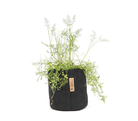Pflanzsack - 8 Liter
