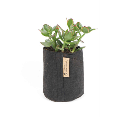 Pflanzsack 3,8 Liter