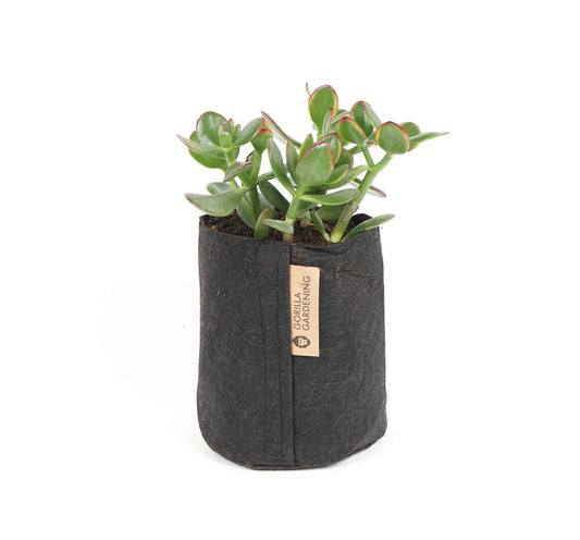 Pflanzsack 3,8 Liter