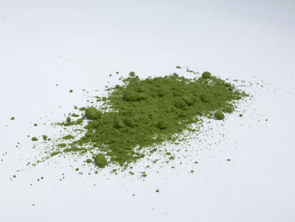 Kiji - Matcha de cérémonie - Kazan