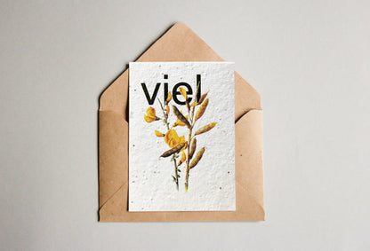 Set mit Samenpapier-Postkarten - Universelle Wünsche