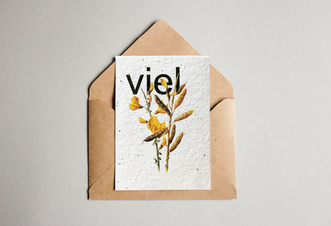 Set mit Samenpapier-Postkarten - Universelle Wünsche